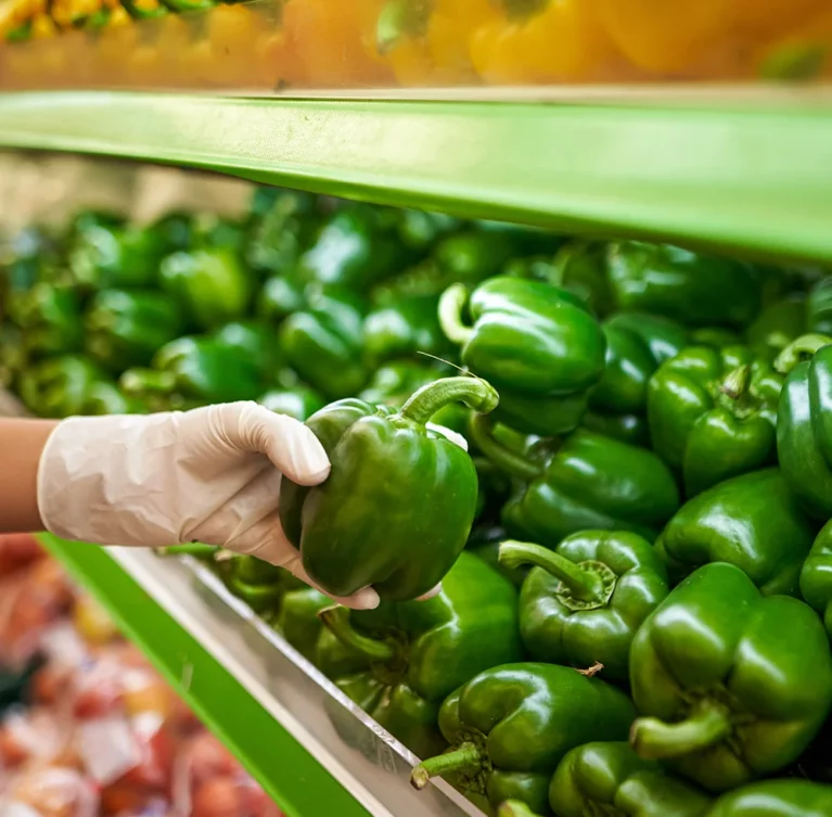 Ballan wrasse climbing gourami amur pike Arctic char, steelhead