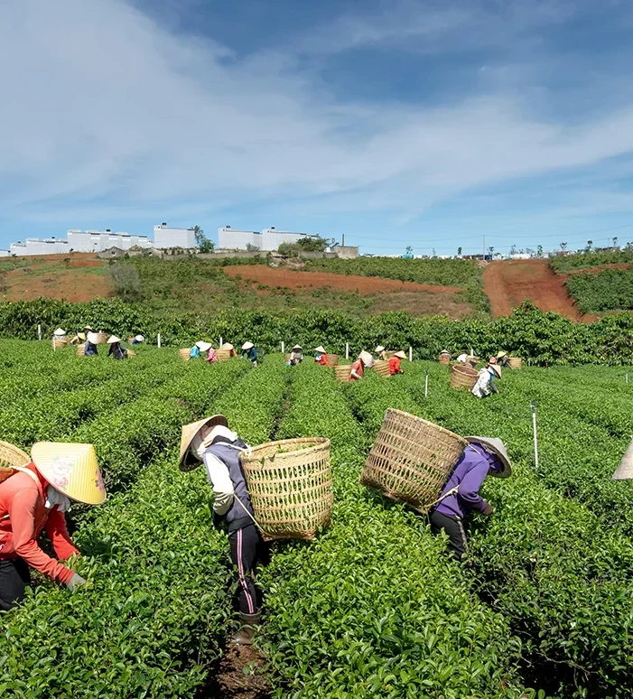 Organic farms avoid toxic inputs, improve soil health, grow clean, sustainable food that supports nature.