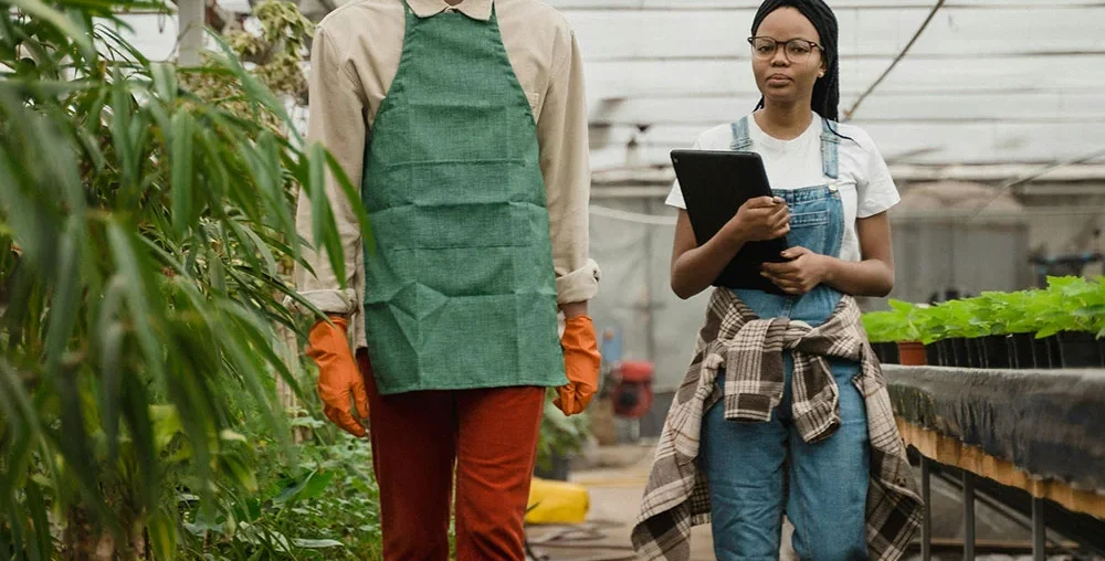 Organic farms avoid toxic inputs, improve soil health, grow clean, sustainable food that supports nature.